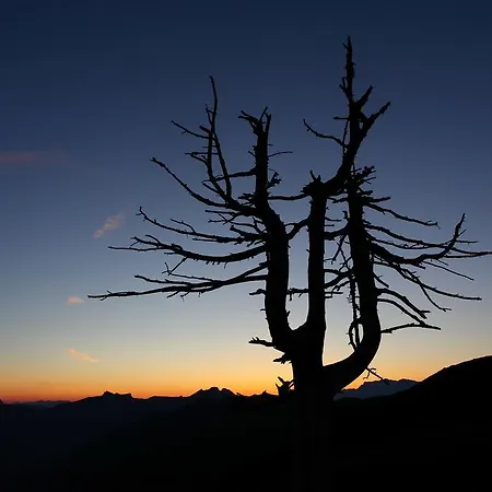 Und Almroesl 4* Karteis