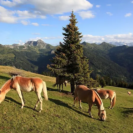 Und Almroesl Karteis