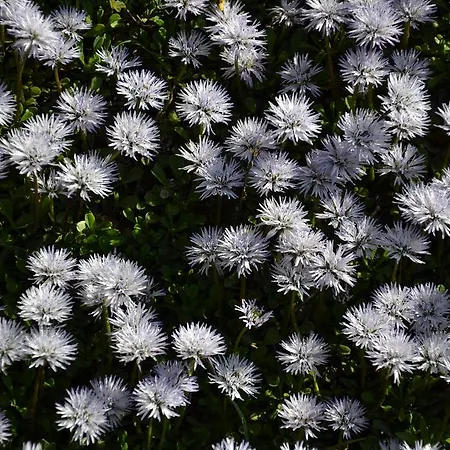 Und Almroesl Lejlighedshotel Karteis