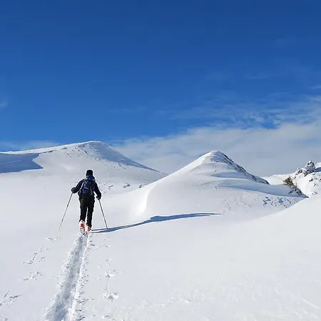 Lejlighedshotel Und Almroesl